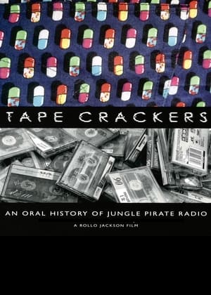 Pirate Radio (2009) Hindi Dual Audio 480p BluRay 400MB - Movierulz
