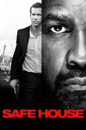 Safe House (2012) Hindi Dual Audio 480p BluRay 350MB - Movierulz